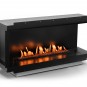 Biožidinys Neo 1000 Fireplace